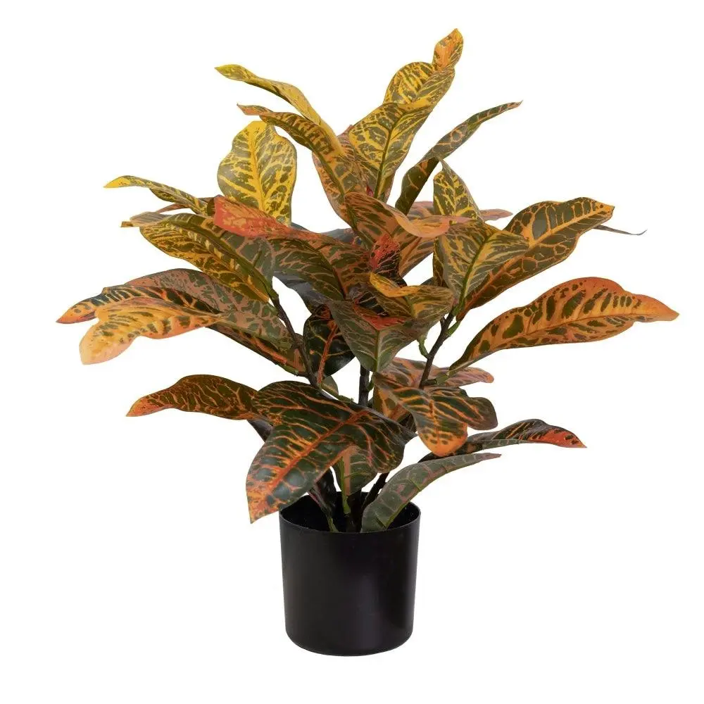 Glamorous Fusion Croton Plant Artificial Faux Plant Decorative 50cm - Home & Garden