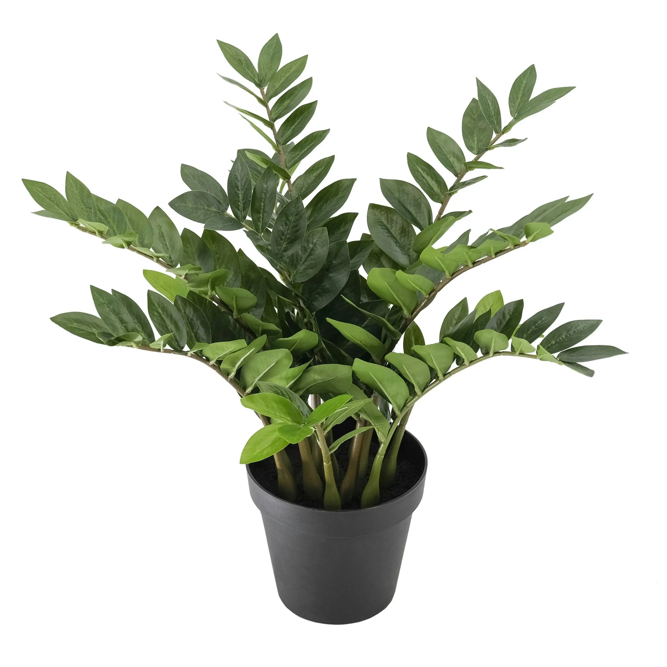 Artificial ZZ (Zanzibar) Plant 70cm - Home & Garden