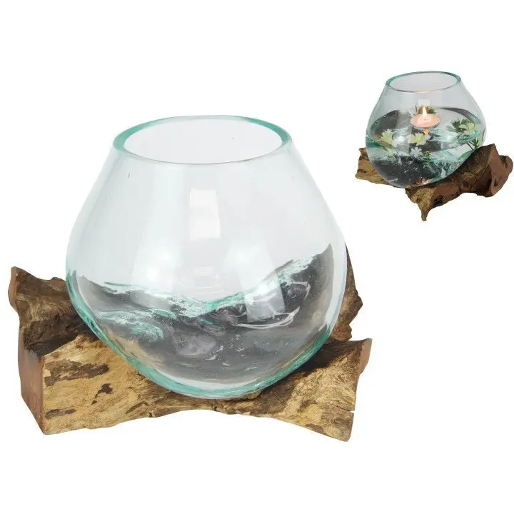 Hand Blown Glass Fish Bowl Terrarium on Natural Wood - Pets