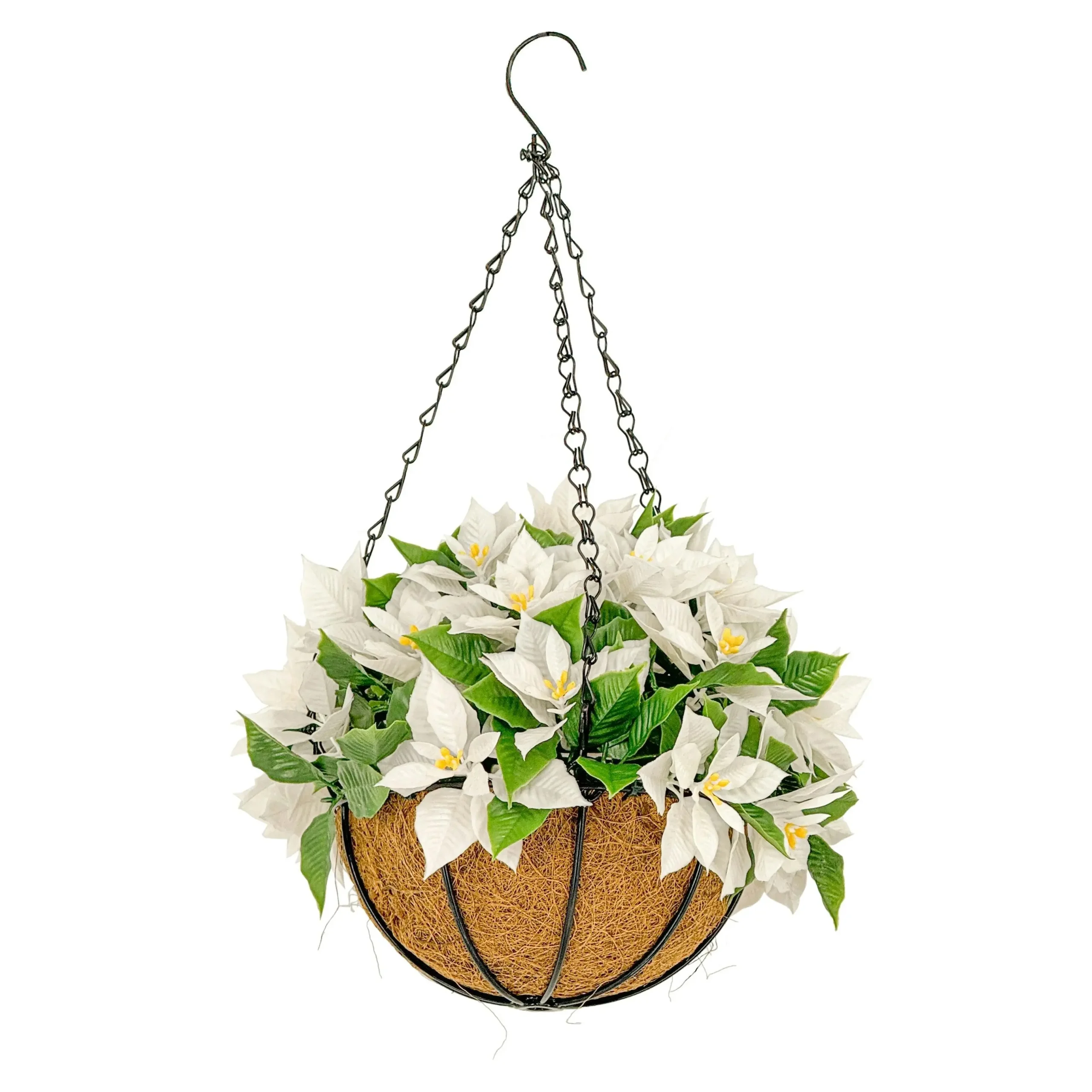 Hanging Basket - Poinsettia White 33cm Outdoor