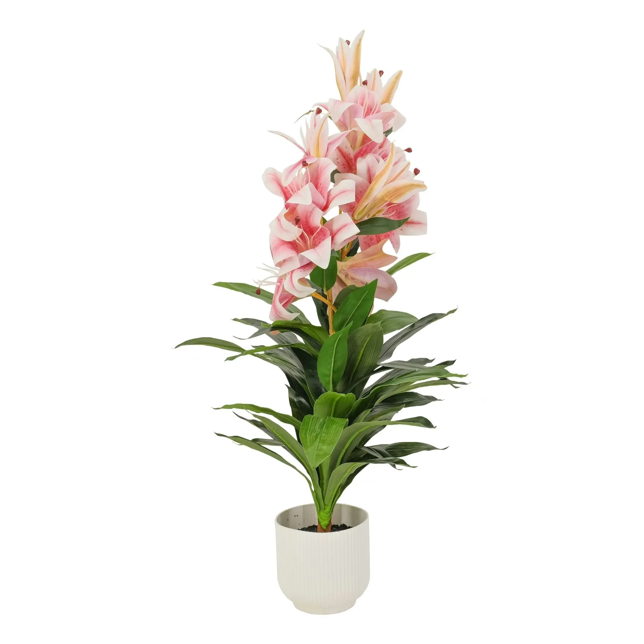Oriental Lily - Pink White 90cm