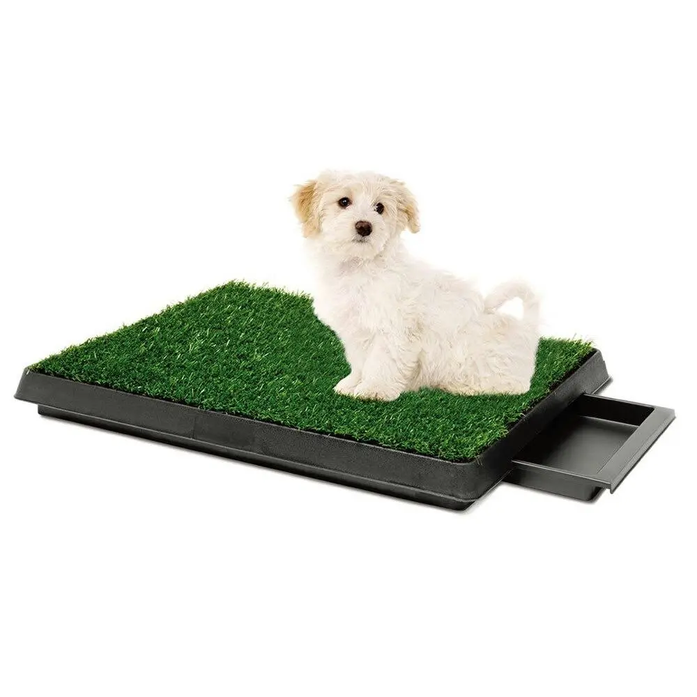 Paws & Claws Portable 63cm Dog/Puppy/Pet Indoor Training Potty Grass w/ Tray - Pets