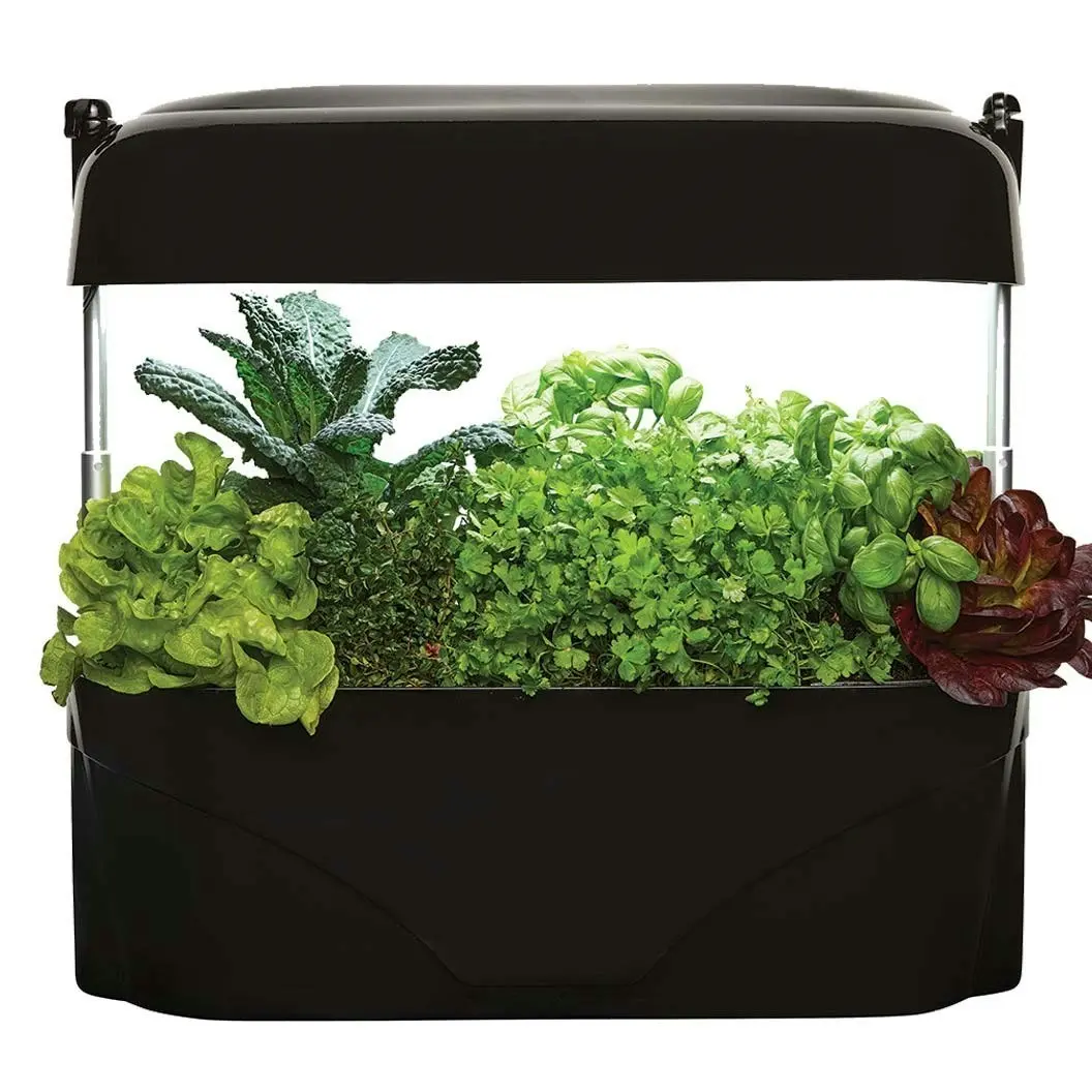 Kitchen Garden Black - Home & Garden