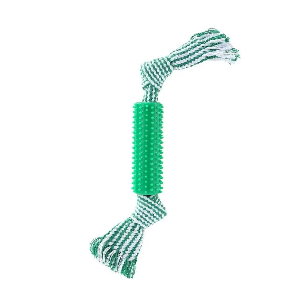Paws & Claws 32cm Dental Tugger Dog/Pet Toy TPR Body + Braided Rope Assorted - Pets