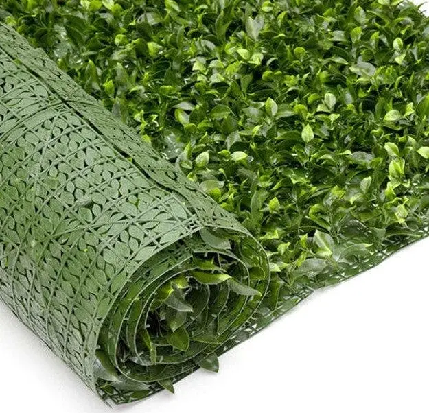 Artificial Hedge Roll (UV Treated) - Pittosporum 300x100cm