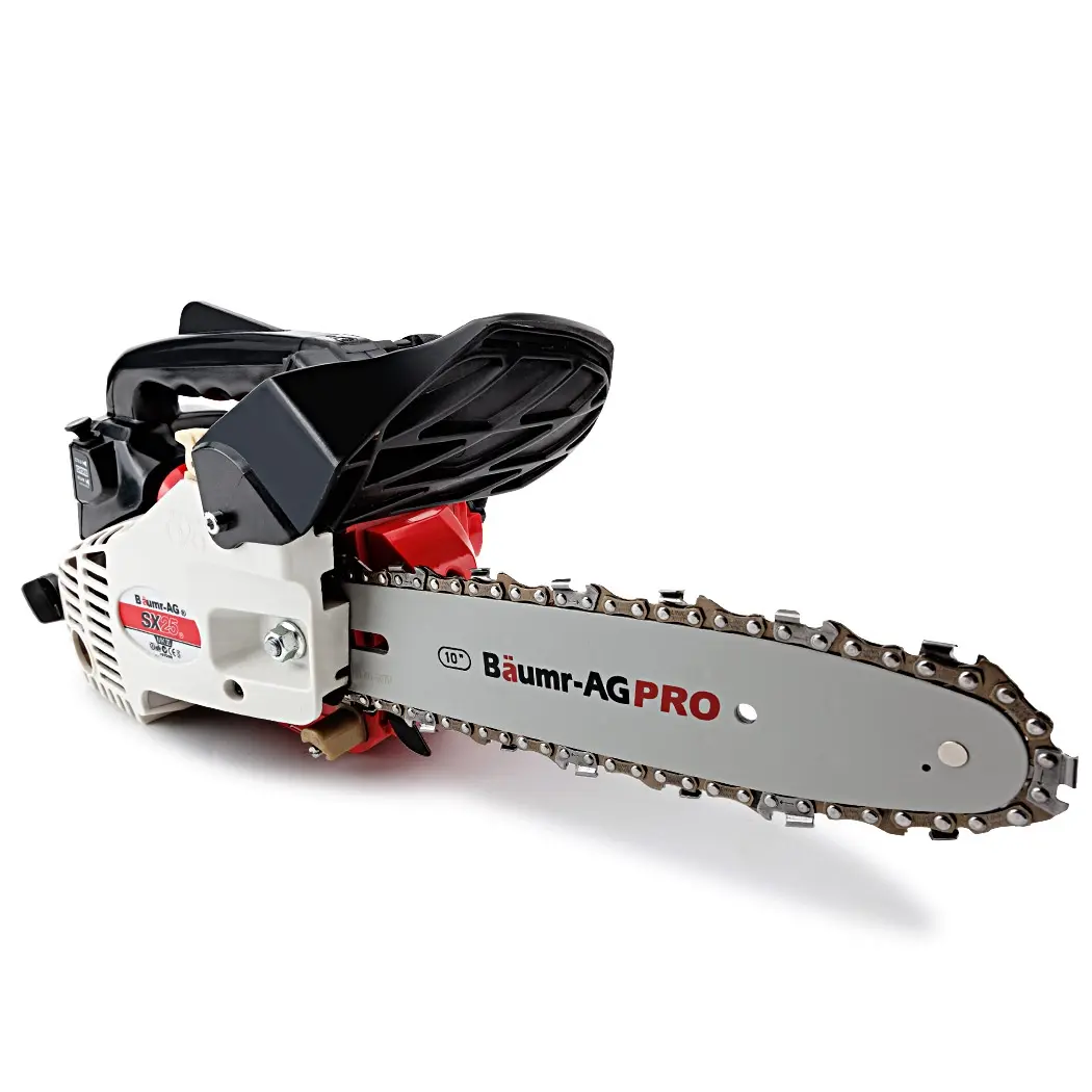 BAUMR-AG 25CC Petrol Chainsaw Arborist 10 Inch Bar E-Start Tree Pruning Garden Chain Saw