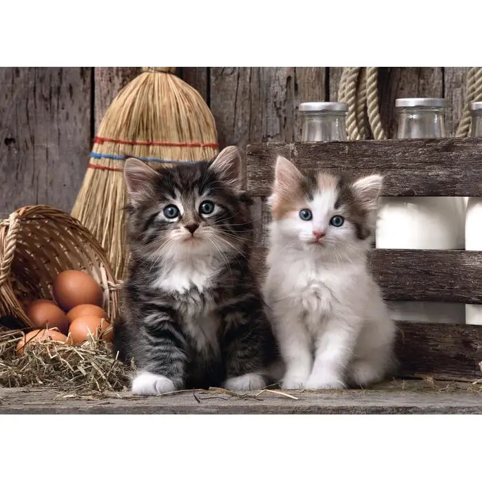 1000pc Lovely Kittens - Toys & Games