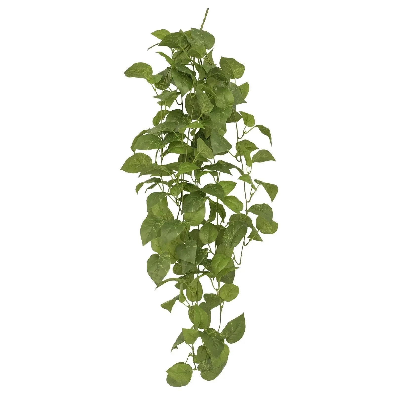 Pothos Plug-in Stem (UV Treated) - 90cm