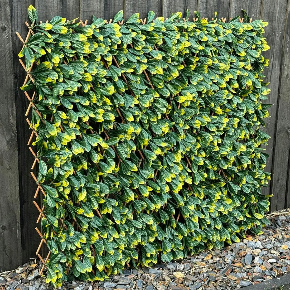 Expanding Trellis (UV Treated) - Green Photinia 180x90cm