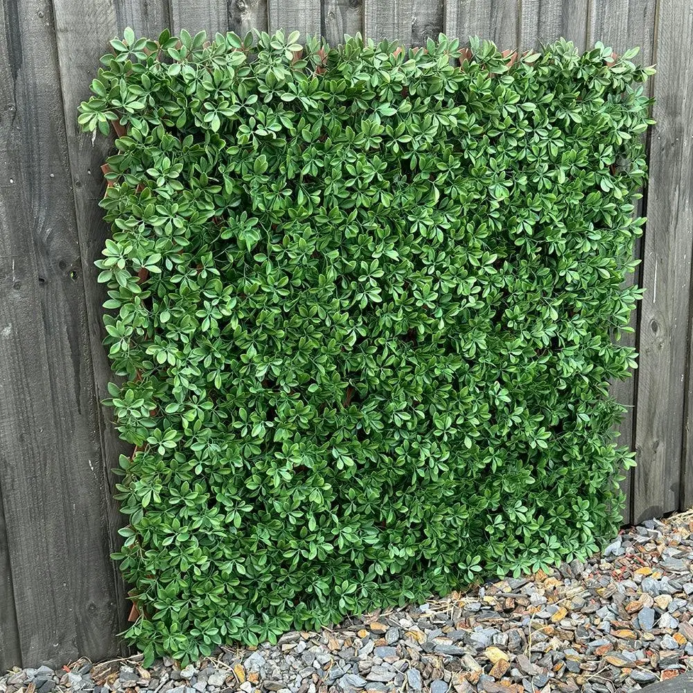 Expanding Trellis (UV Treated) - Barberry Dark Green 180x90cm