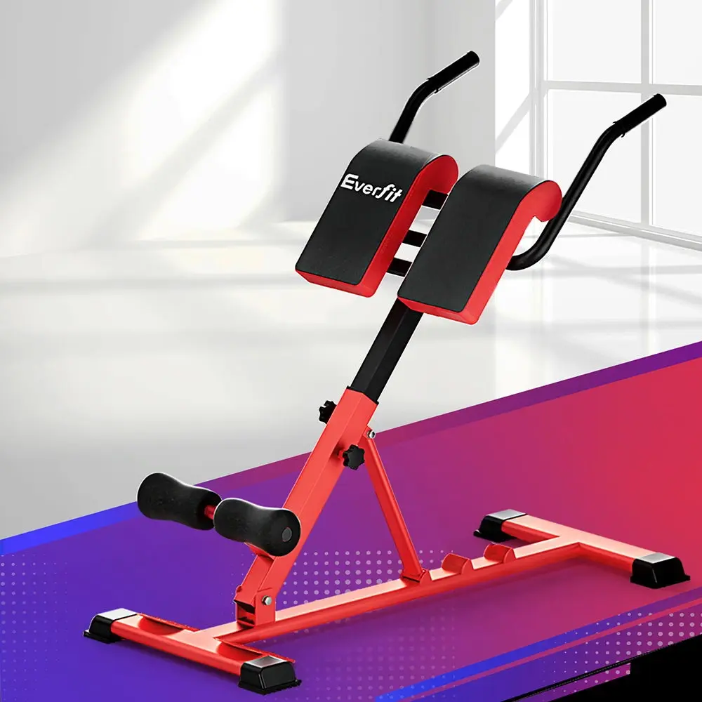 Everfit Weight Bench Adjustable Roman Chair 10 in 1 Home Gym Fitness 200kg - Sports & Outdoor