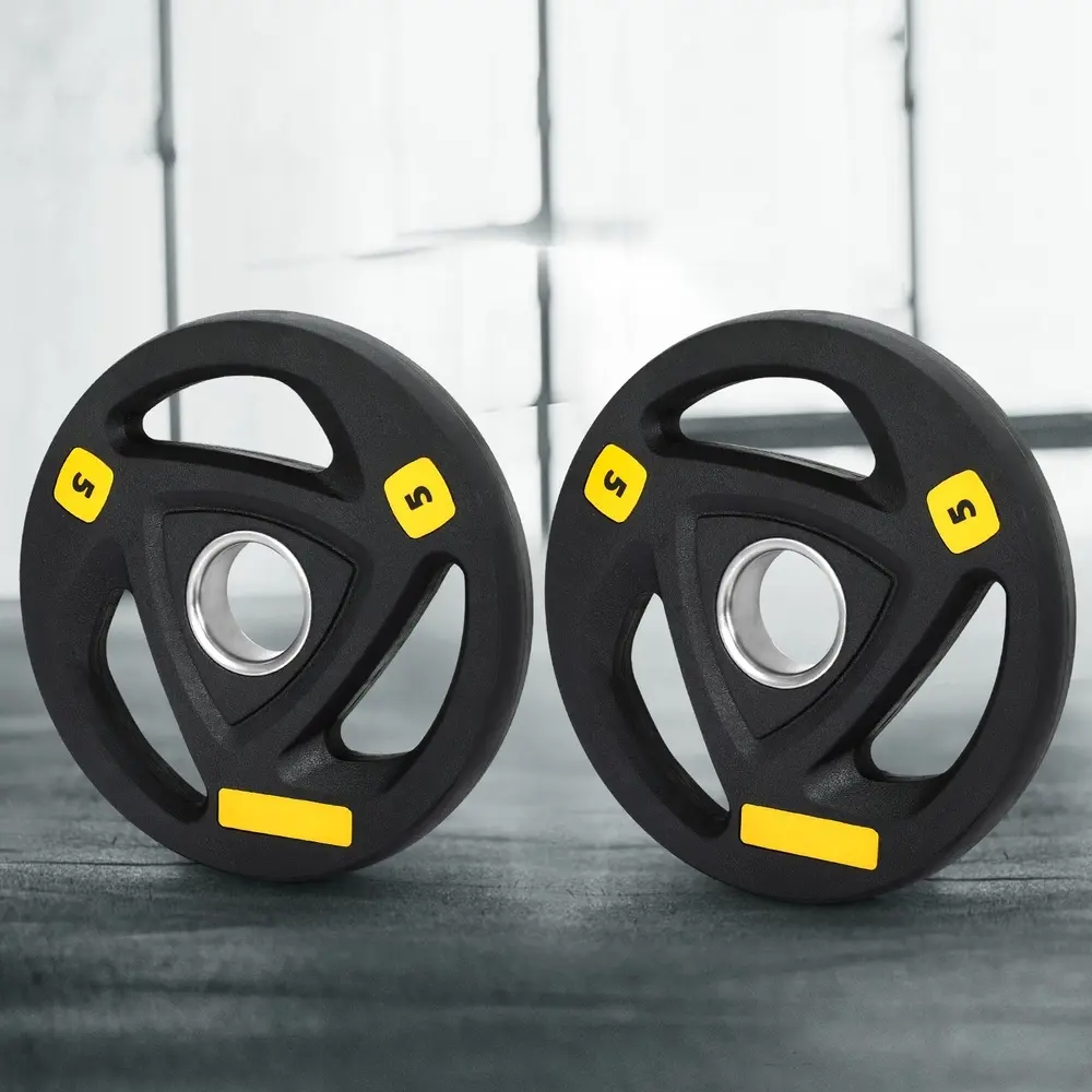 Everfit Weight Plates Olympic 5kgx2 Dumbbells Barbells Plate Weight Lifting Home - Sports & Outdoor