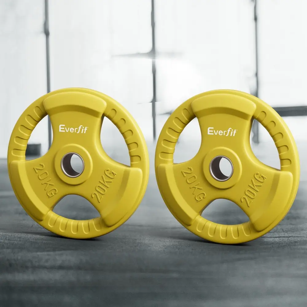 Everfit Weight Plates Olympic 20kgx2 Dumbbell Barbell Plate Weight Lifting Home Gym Yellow - Sports & Outdoor