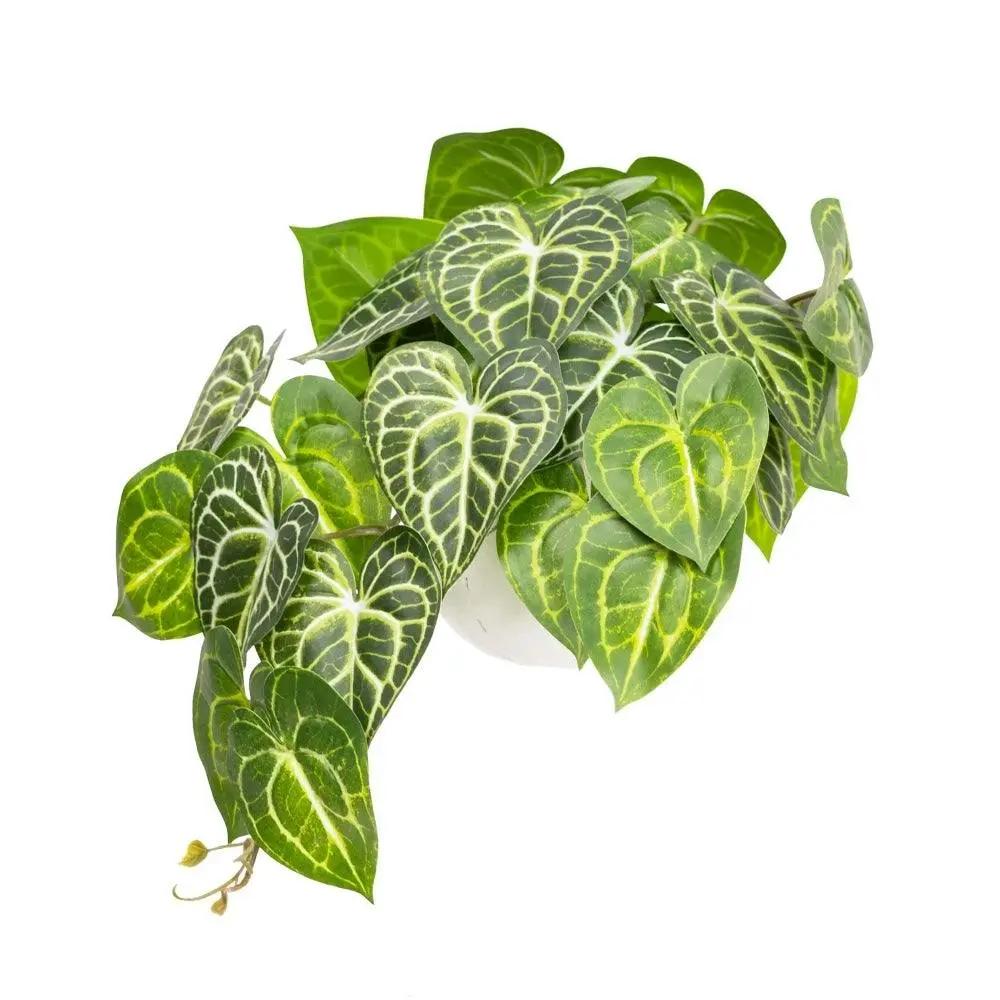 Glamorous Fusion Green Caladium Bush 46cm Artificial Faux Plant Decorative In Pot - Home & Garden