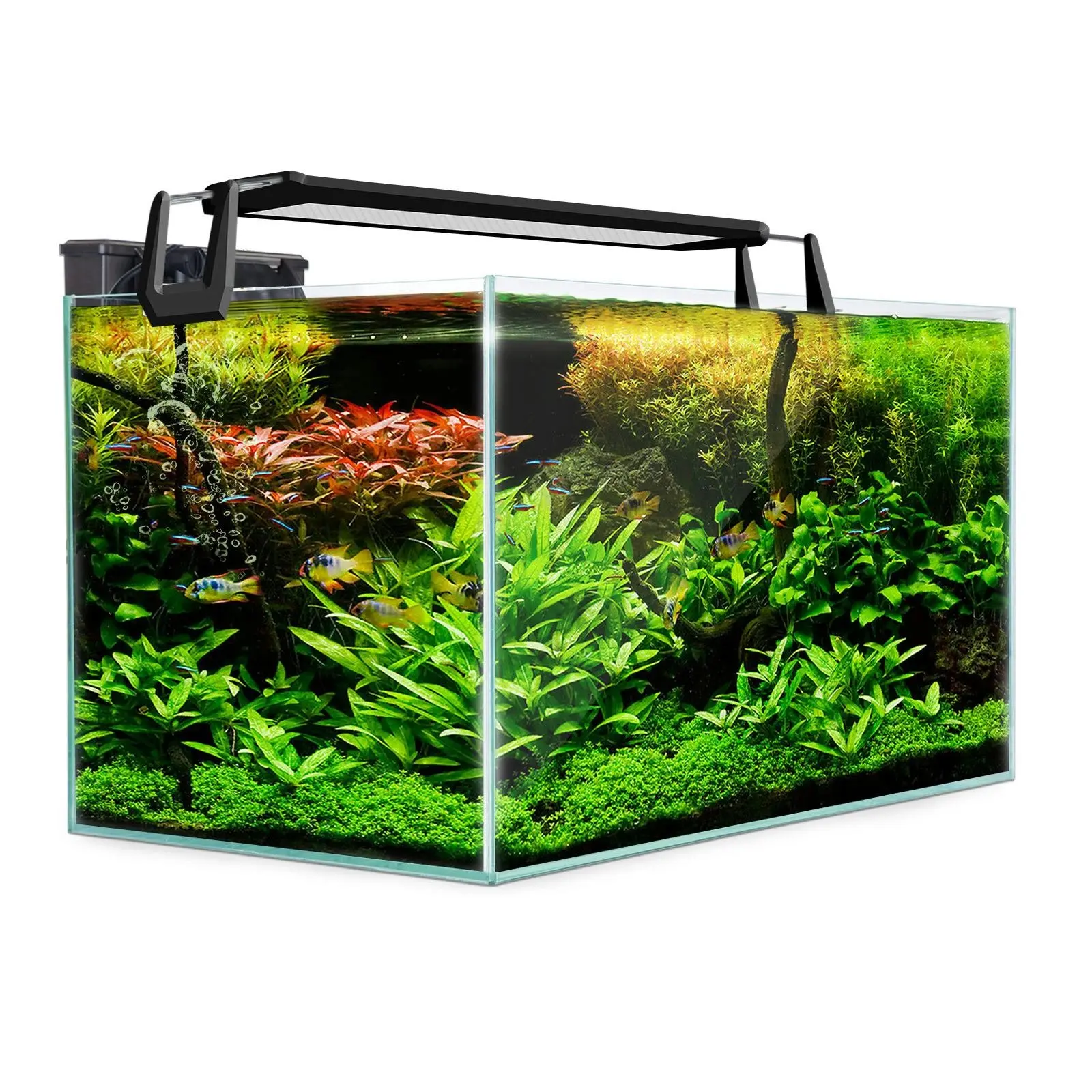 70L Starfire Glass Aquarium Fish Tank - Pets