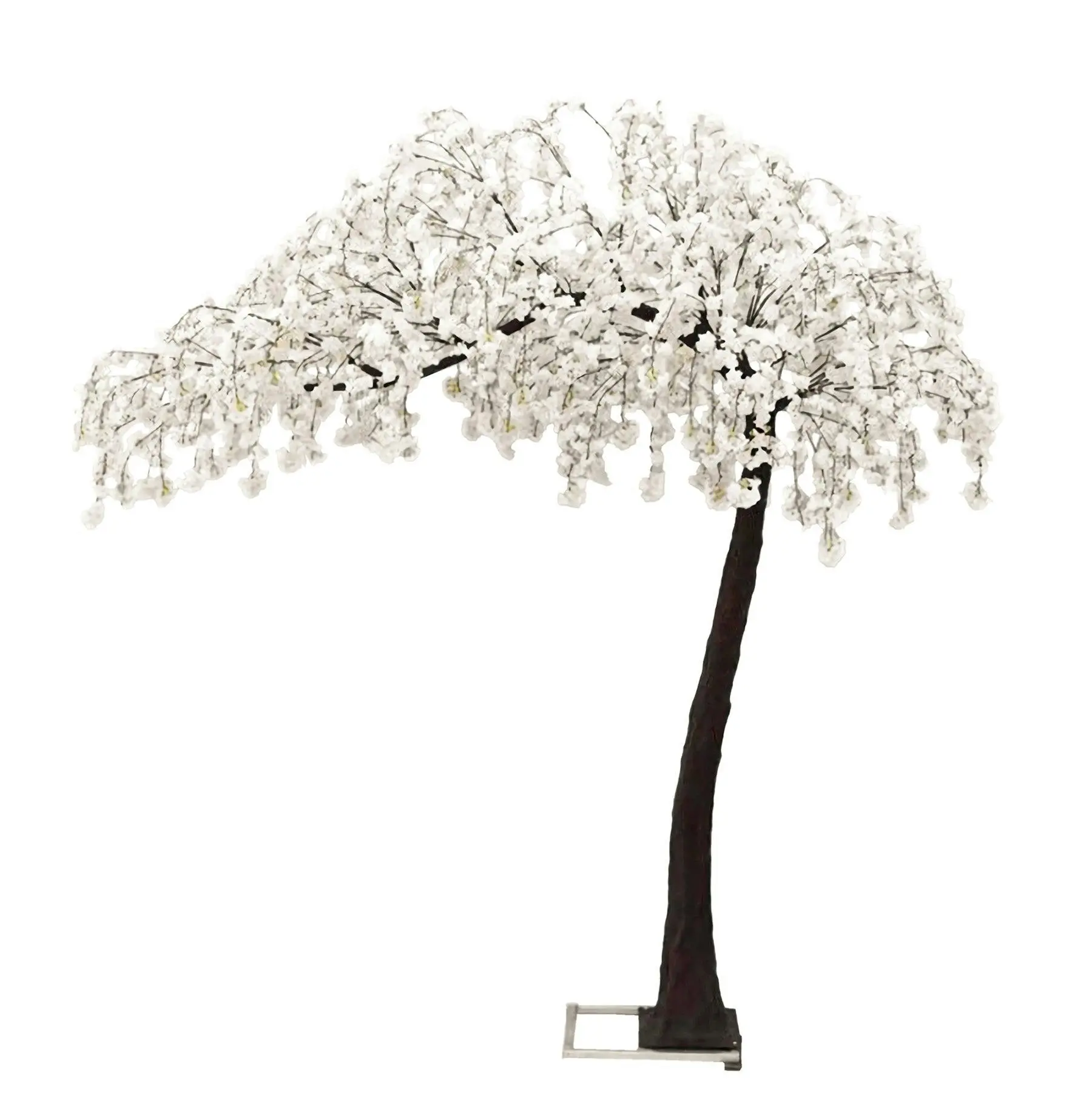 Weeping Cherry Blossom (Sakura) Tree - White waterfall 3.1m