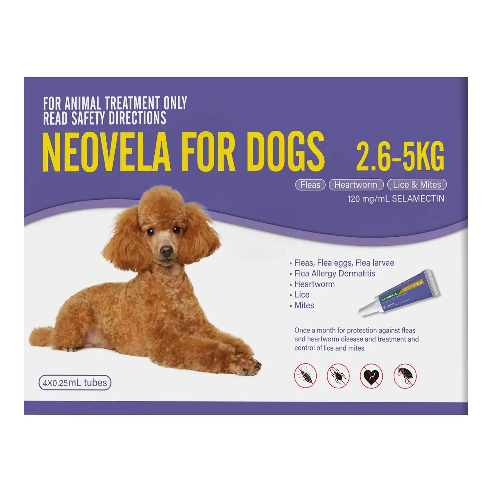 Neovela for Very Small Dogs 2.6 to 5 Kg (PURPLE) 4 Pack - Save up to 70% Off Pet Supplies