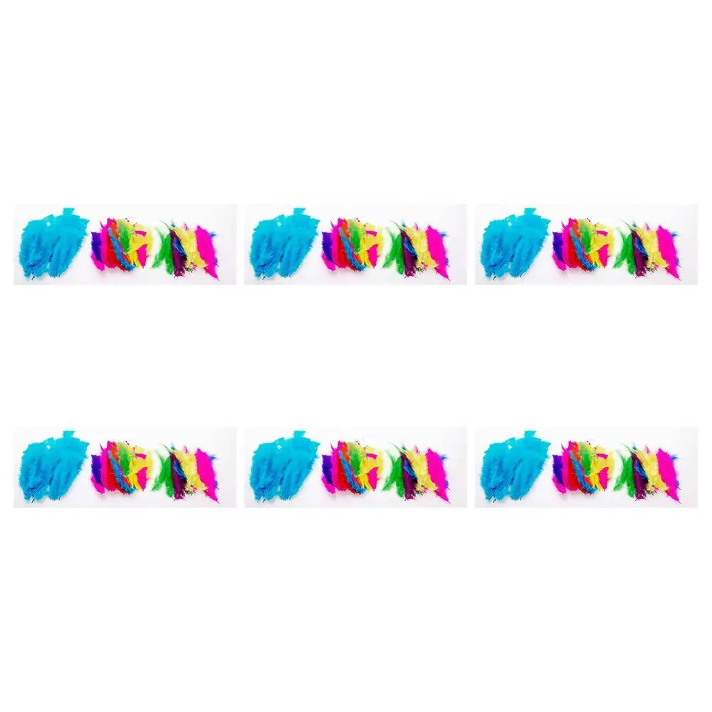 6x 50pc Jasart Small Feathers Art/Craft DIY Decoration/Design Scrapbooking Asst - Hobbies