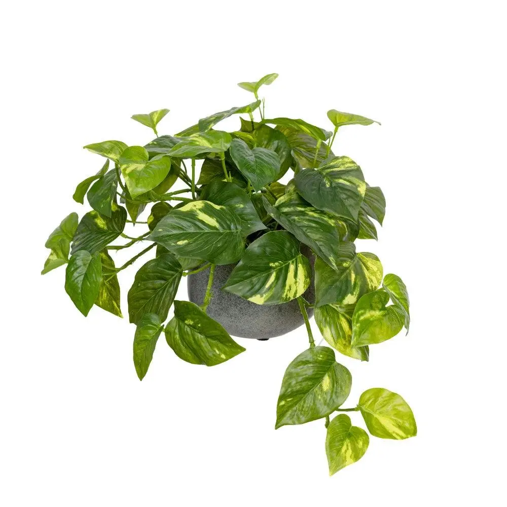 Glamorous Fusion Pothos Artificial Fake Plant Flower Decorative 30cm In Pot - Home & Garden