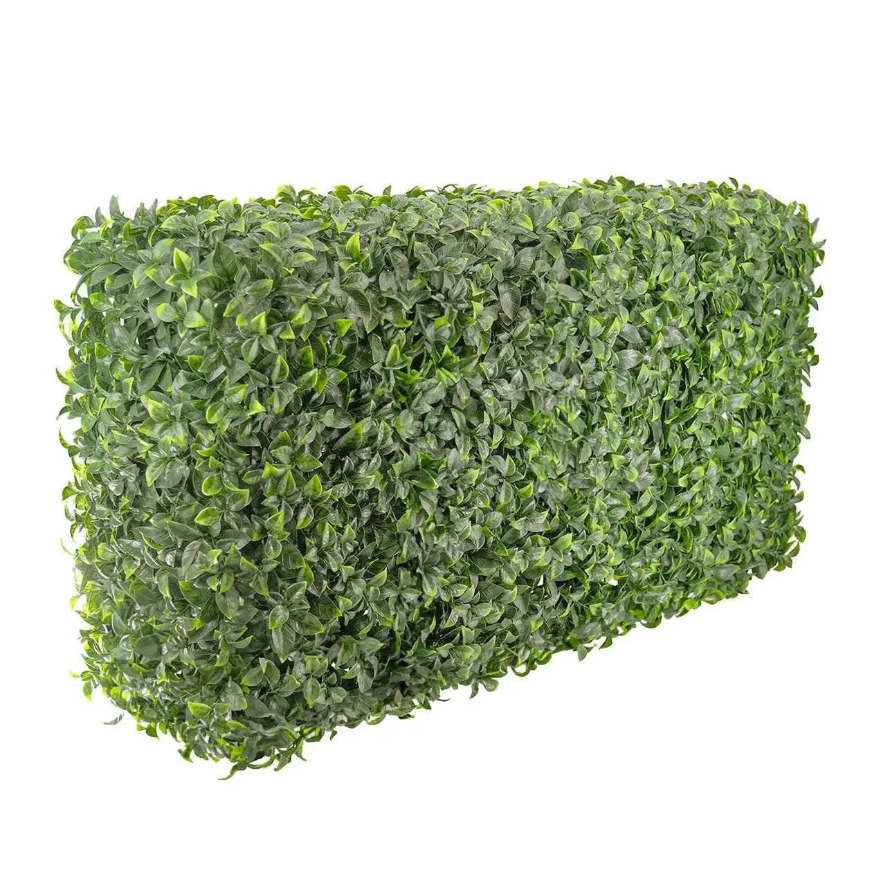 Artificial Freestanding Hedge (UV Treated) - Pittosporum 50x100x25cm