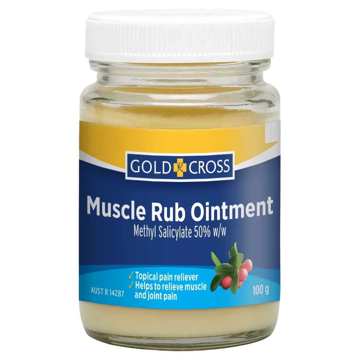 Gold Cross Methyl Salicylate Ointment BP 100 g - Health