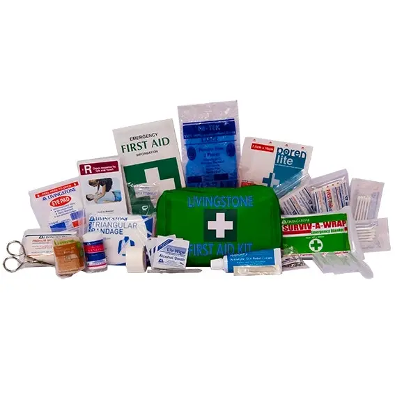 Livingstone Work Vehicle First Aid Kit Small, 18 x 11 x 7cm Pouch Green Nylon Pouch - Health