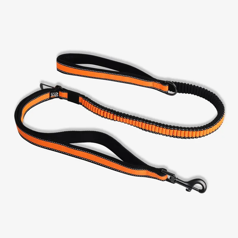 Pawfit Leash - Pets