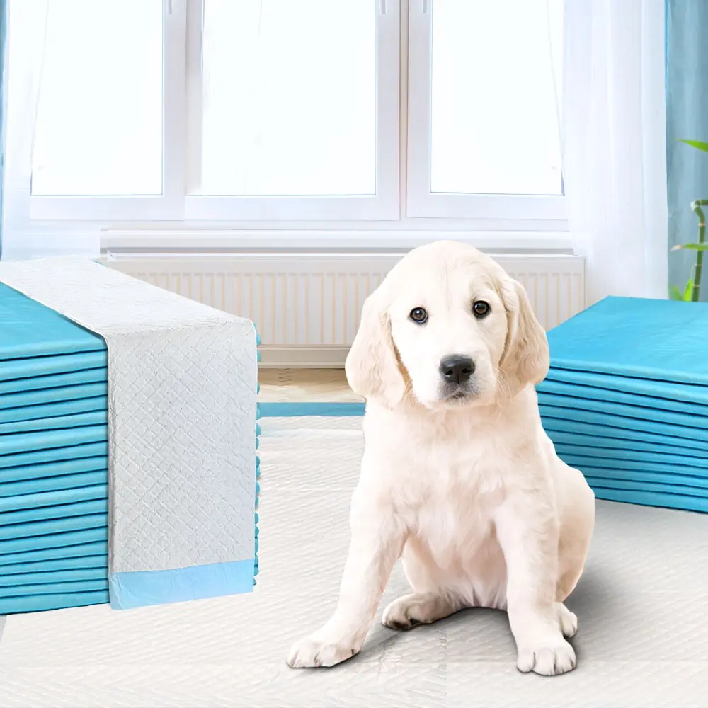 i.Pet Pet Training Pads 400pcs 60x60cm Puppy Dog Toilet Pee Indoor Super Absorbent Blue - Pets