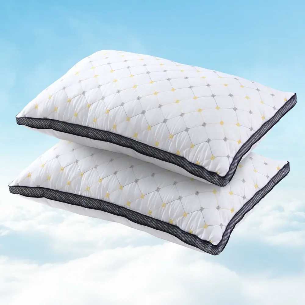 Giselle 2pcs Pillows Microfibre - Home & Garden