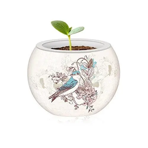 3D Flowerpot Singing Birds & Flowers Puzzle - Toys & Games