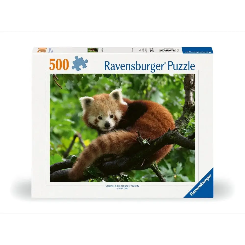 500pc Cute Red Panda Puzzle - Toys & Games