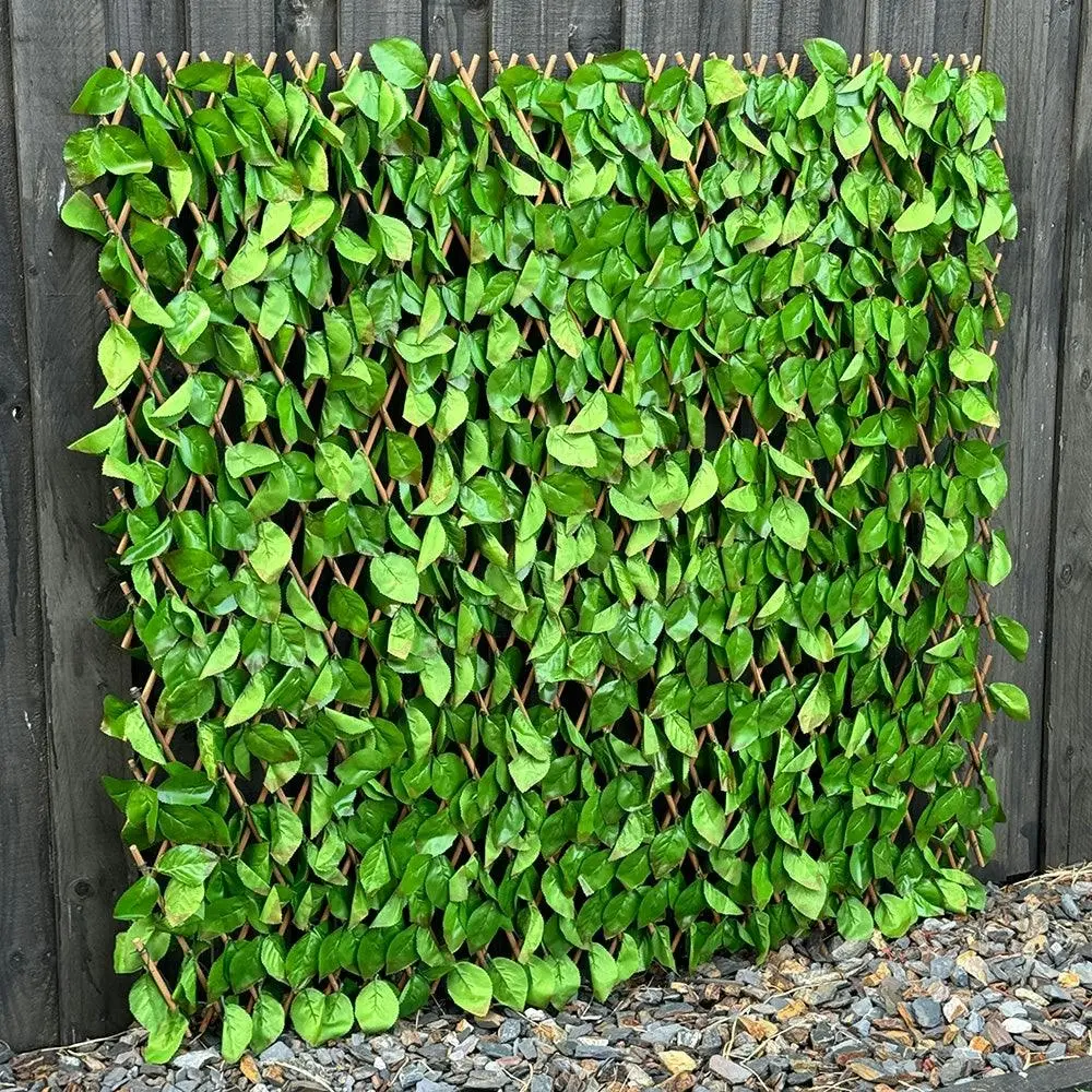 Expanding Trellis (UV Treated) - Ivy 2x1m