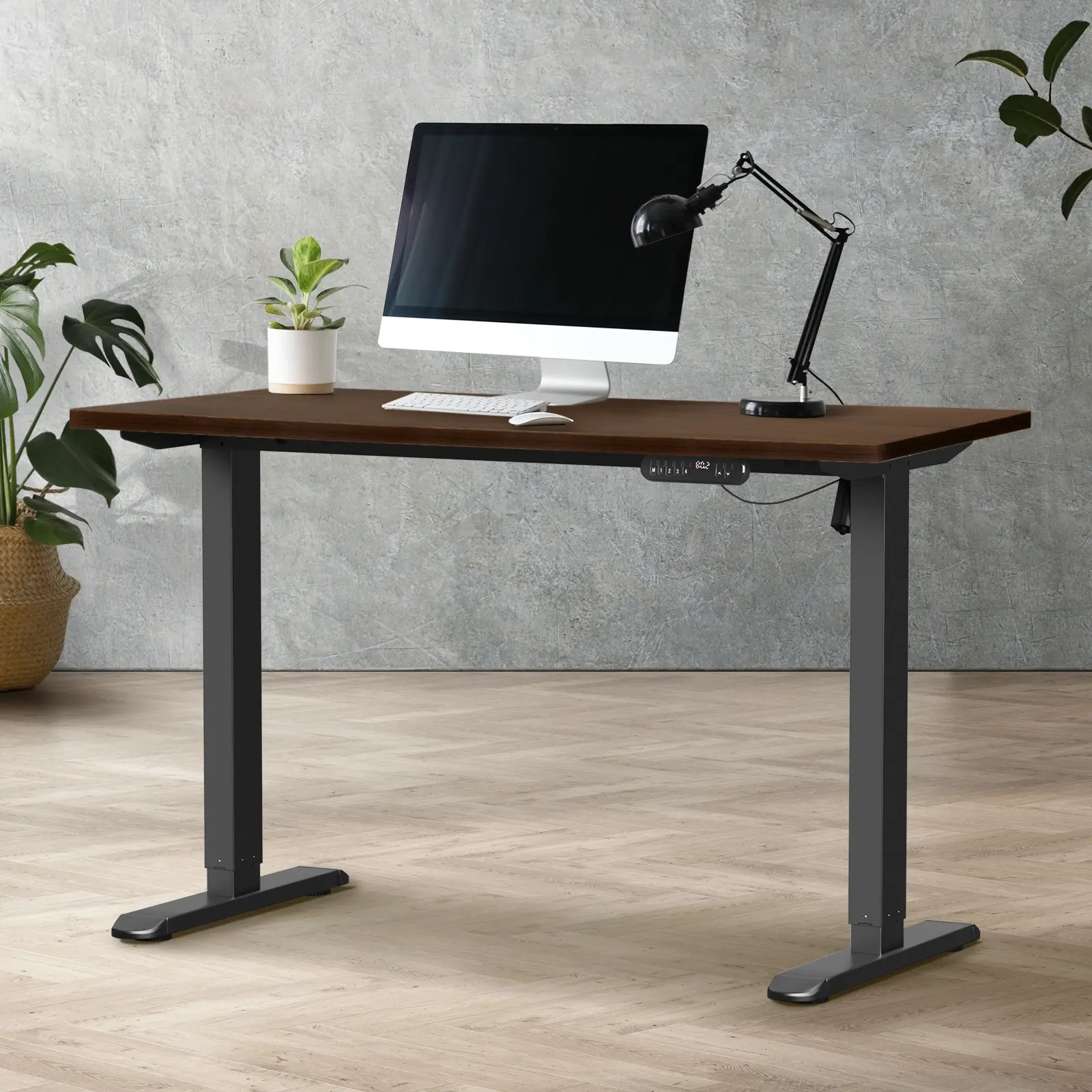 Oikiture Electric Standing Desk Single Motor Black Frame 140CM Walnut Tabletop - Furniture