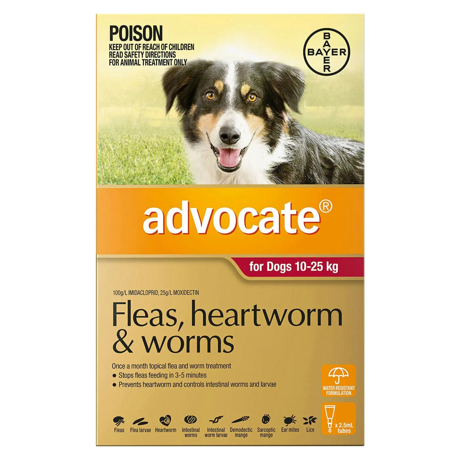 ADVOCATE for Dogs For Large Dogs 10 To 25Kg (Red) 3 Pipettes - Pets