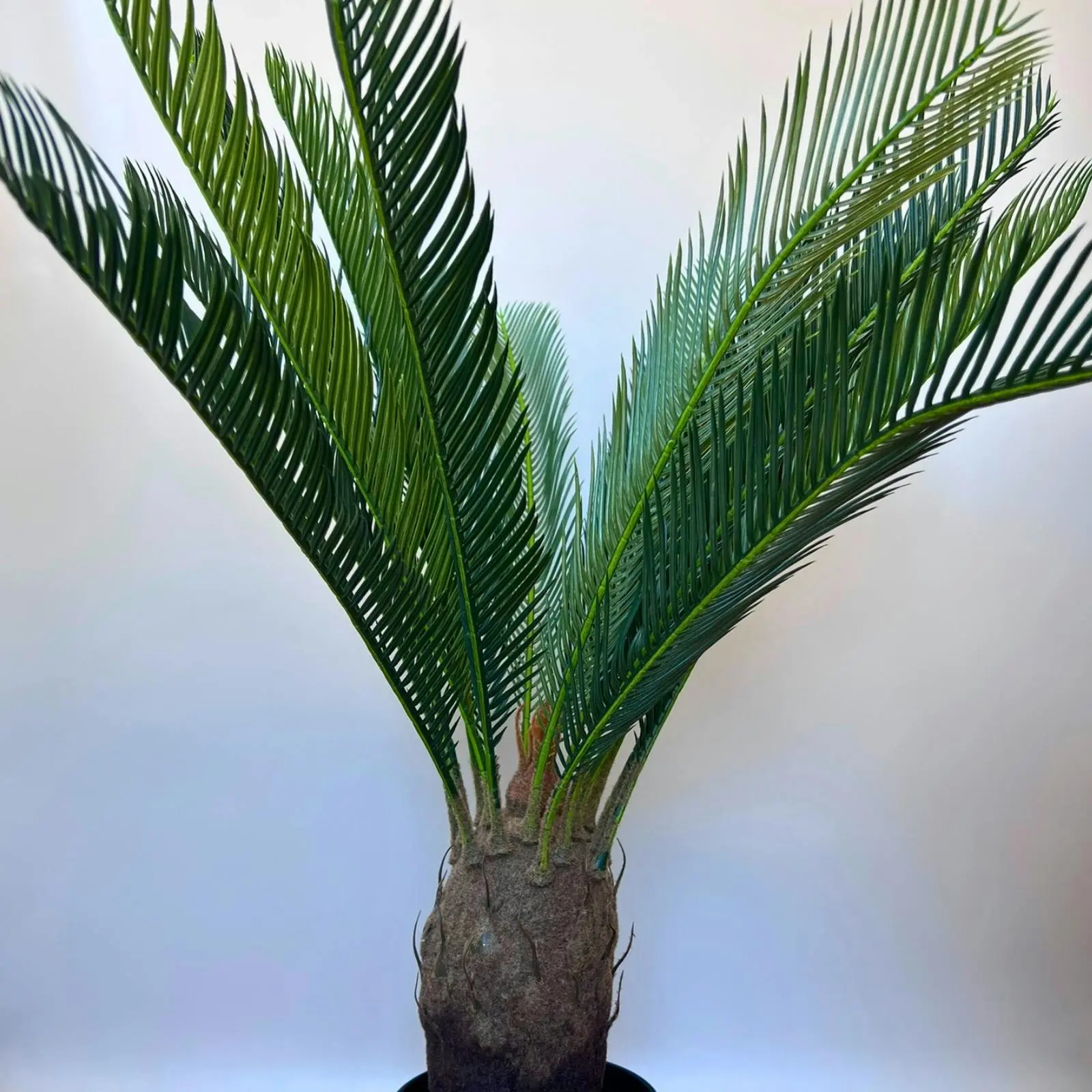 Large Artificial Cycad Palm Plant 82cm - Home & Garden