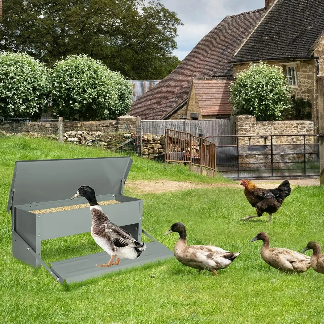 Pawz 10kg Auto Automatic Chicken Feeder Galvanized Poultry Chook Treadle - Pets