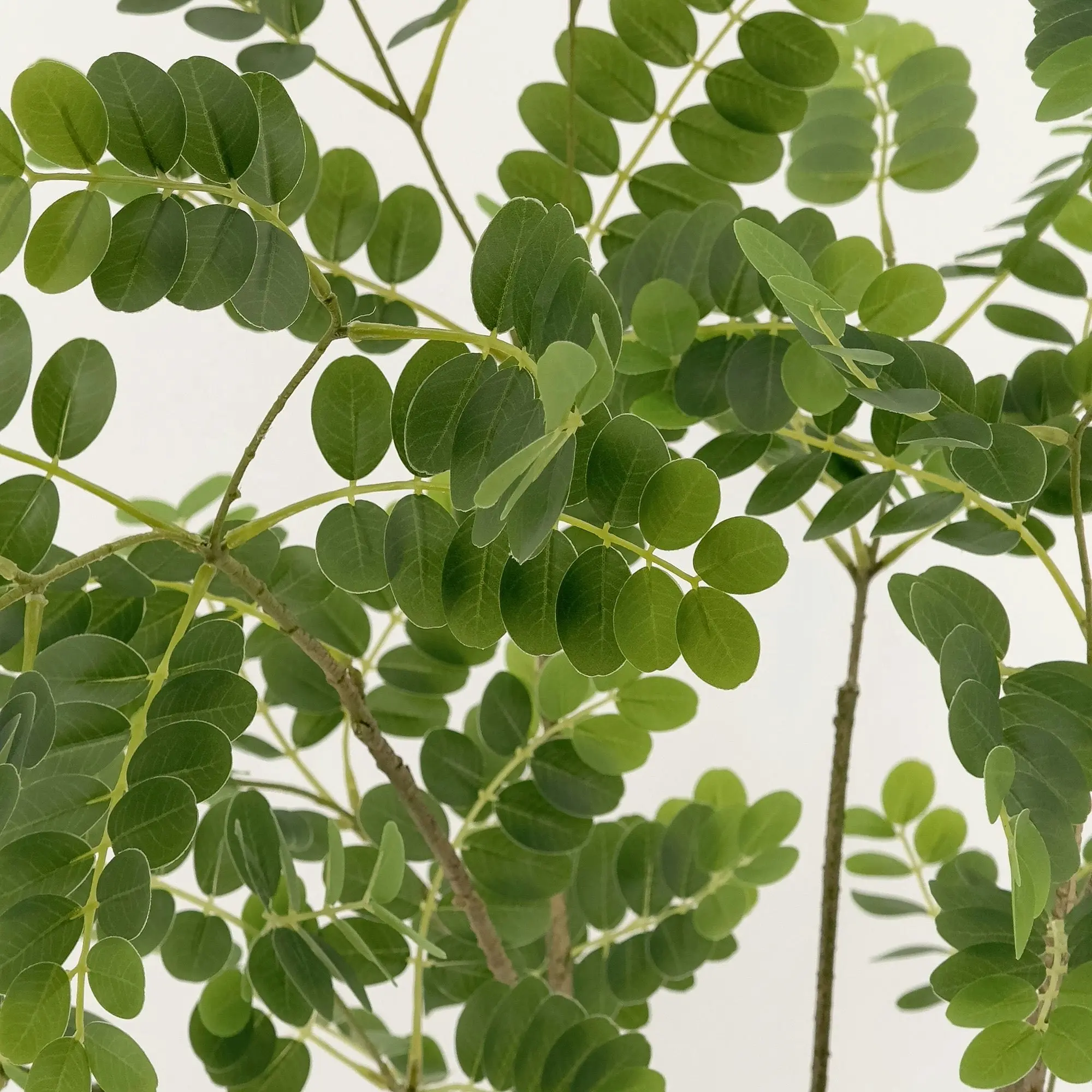 Artificial Japanese Pagoda Tree 150cm - Home & Garden