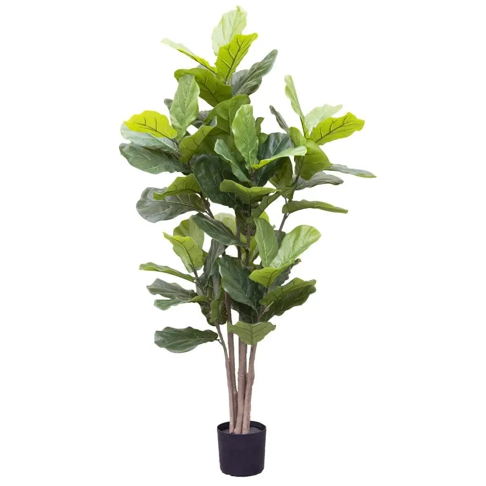 Glamorous Fusion Giant Fiddle Leaf 182cm Artificial Faux Plant Tree Decorative Green - Home & Garden