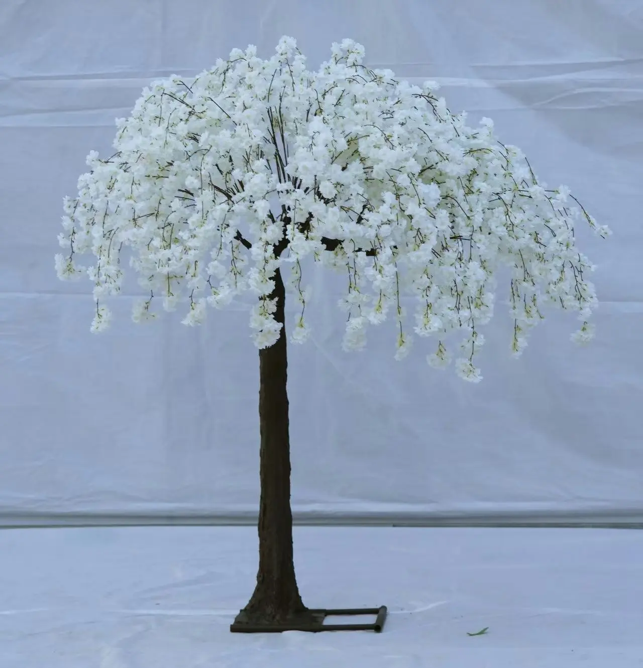 Weeping Cherry Blossom Tree 2.6m - White Waterfall