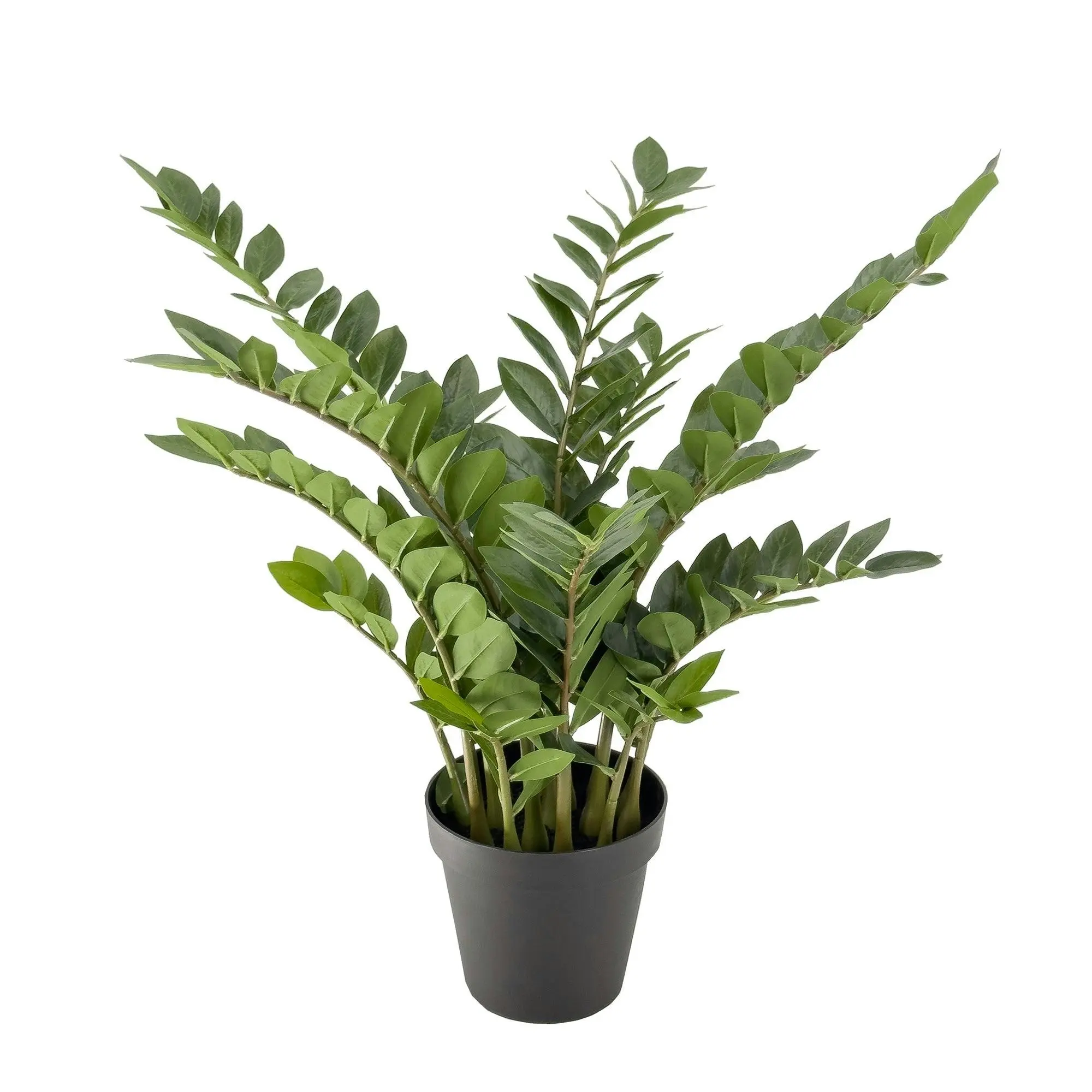 Artificial ZZ (Zanzibar) Plant - 90cm