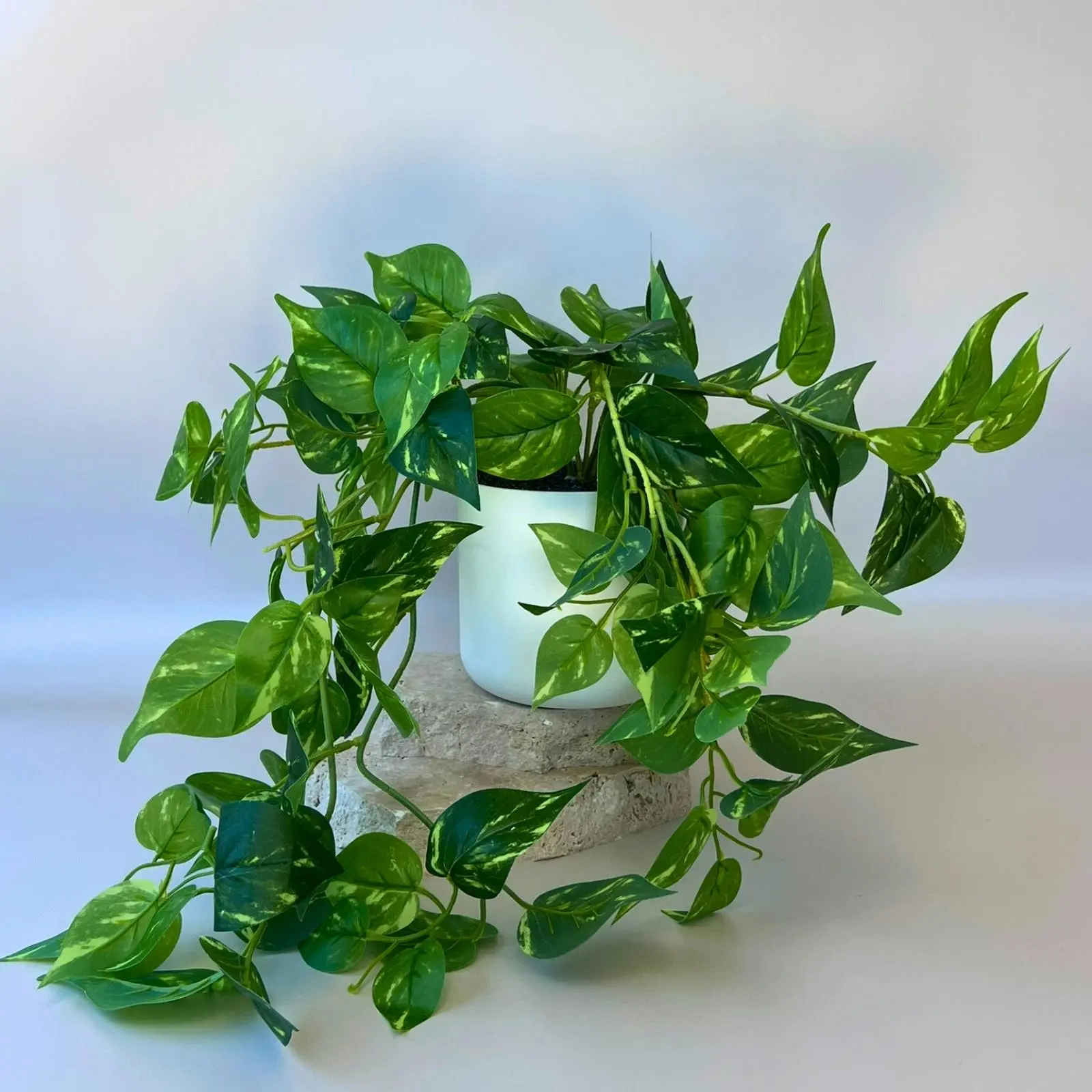 Artificial Pothos (Devil's Ivy) Trailing Plant - 35cm