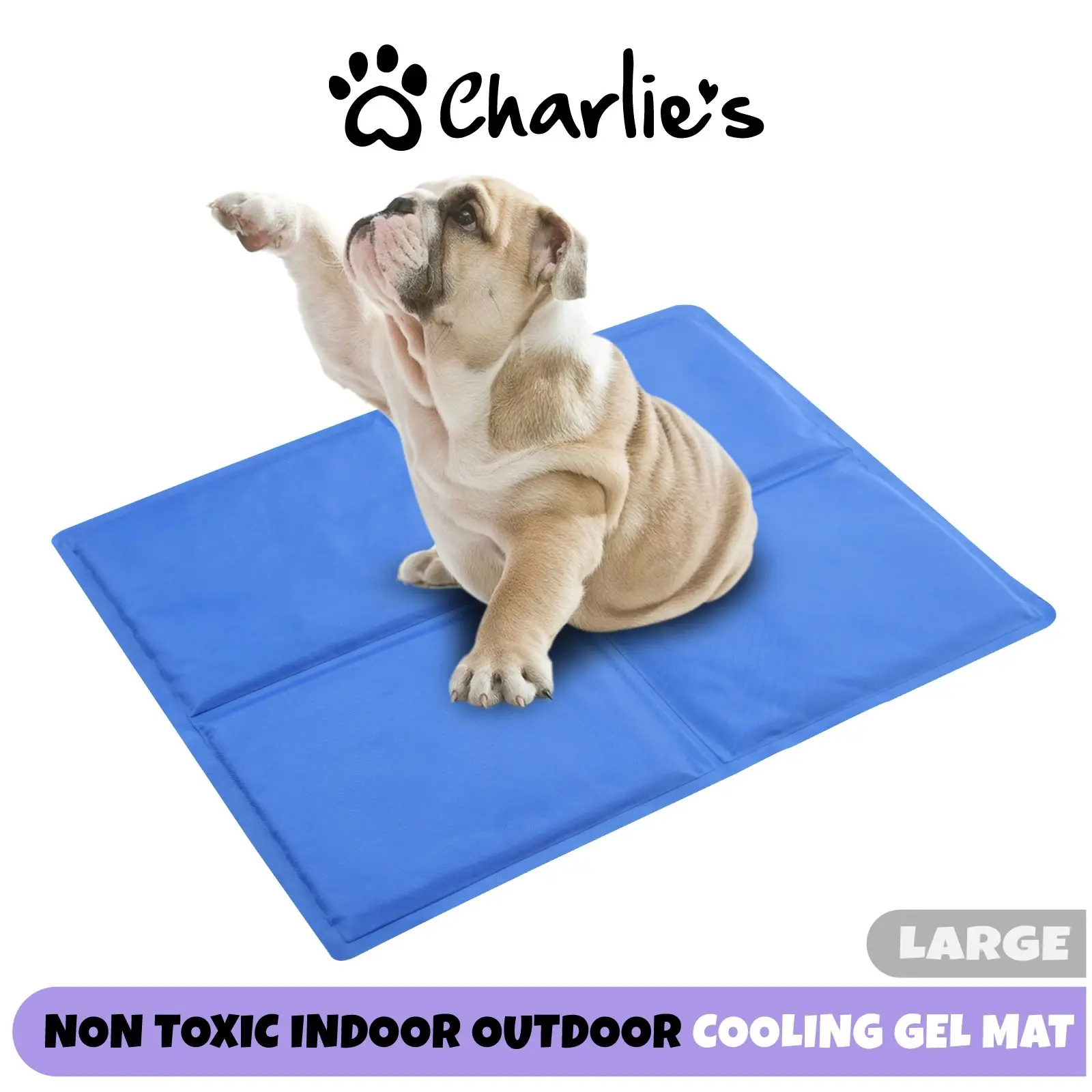 Paw Paws Pet Cooling Mat Blue Large - Pets