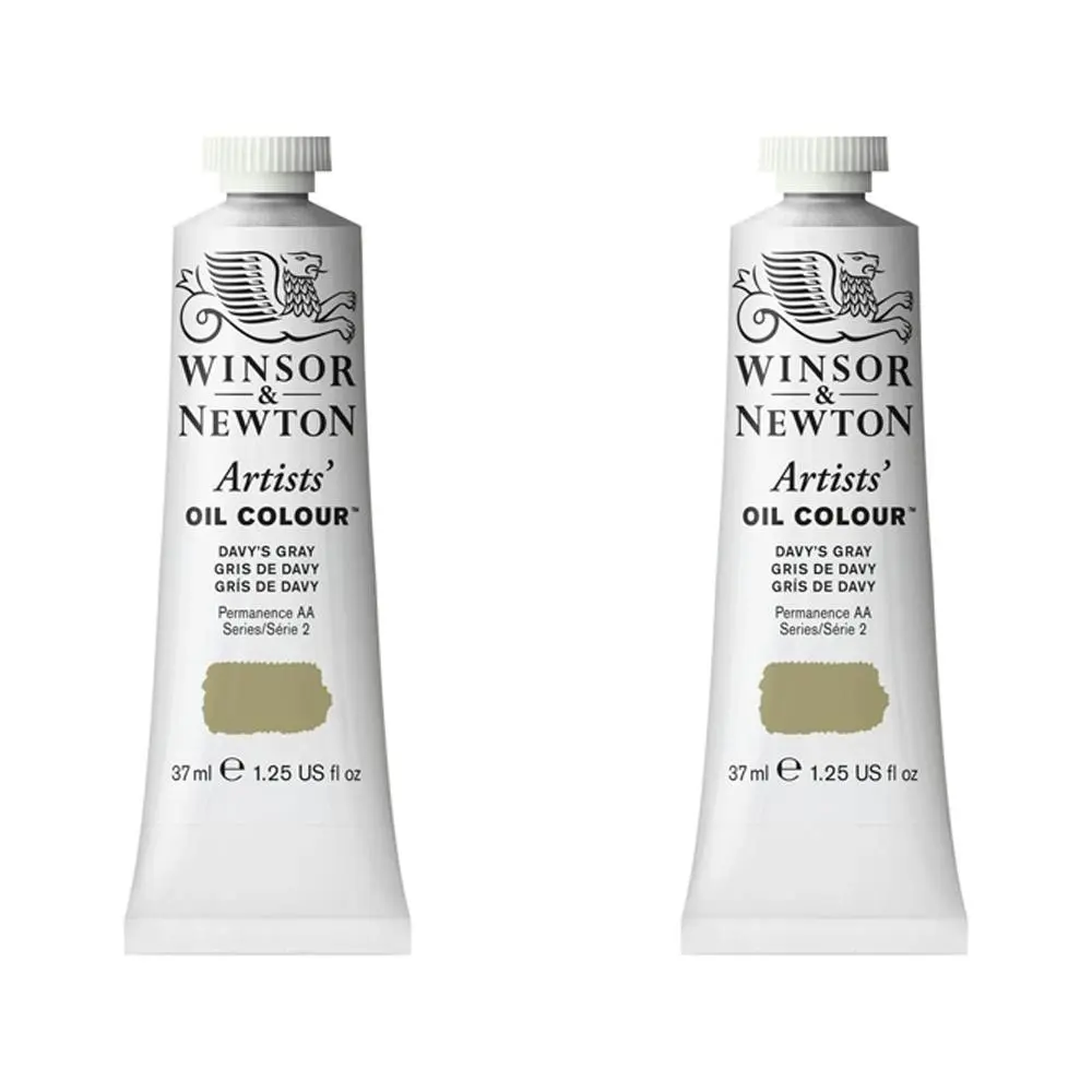 2x Winsor & Newton Artists Oil Colour 37ml Art Paint Tube Davy's Gray Series 2 - Hobbies