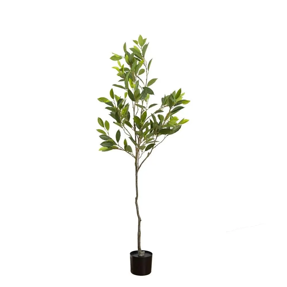 Glamorous Fusion Cameillia Leaf Tree 152cm Artificial Faux Plant Decorative Green - Cosy Home Specials
