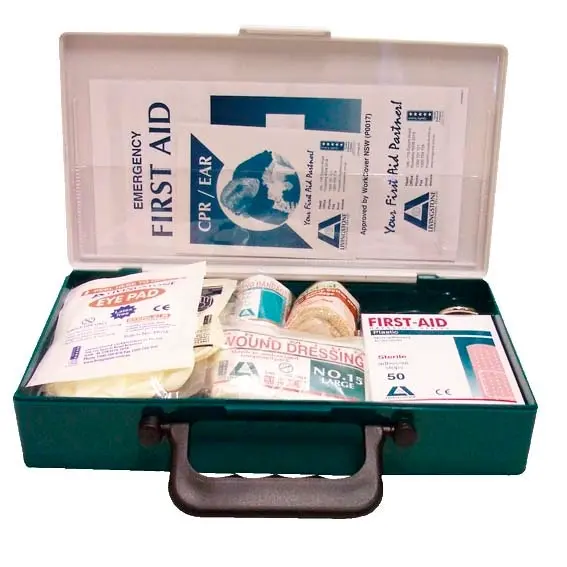Livingstone Small Work Vehicle First Aid Kit Complete Set In Recyclable Plastic Case - Health