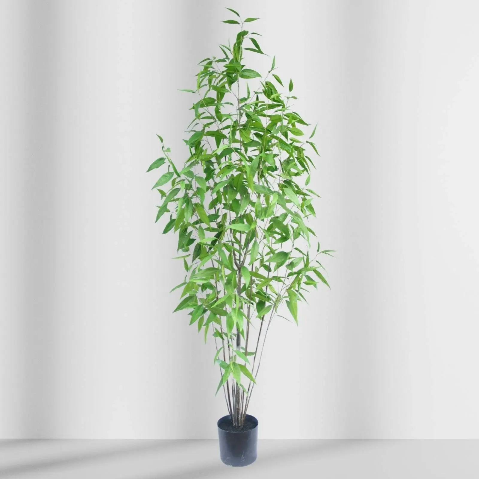 Artificial Lemon Eucalyptus Tree - 240cm