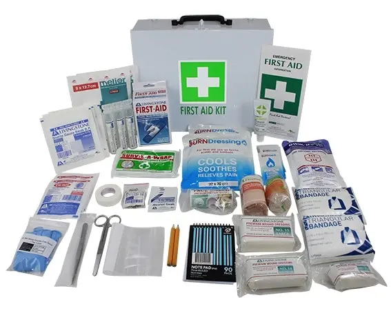 Livingstone Hospitality First Aid Kit Complete Set In Wall Mountable Metal Case - Health