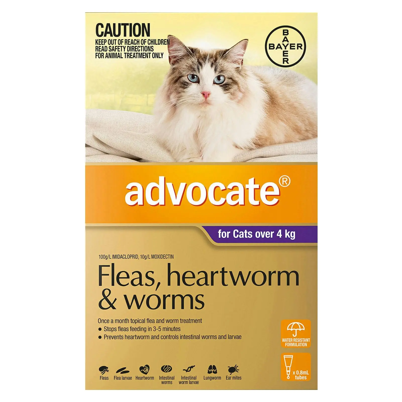 ADVOCATE for Cats For Cats Over 4Kg (Purple) 6 Pack - Save up to 70% Off Pet Supplies