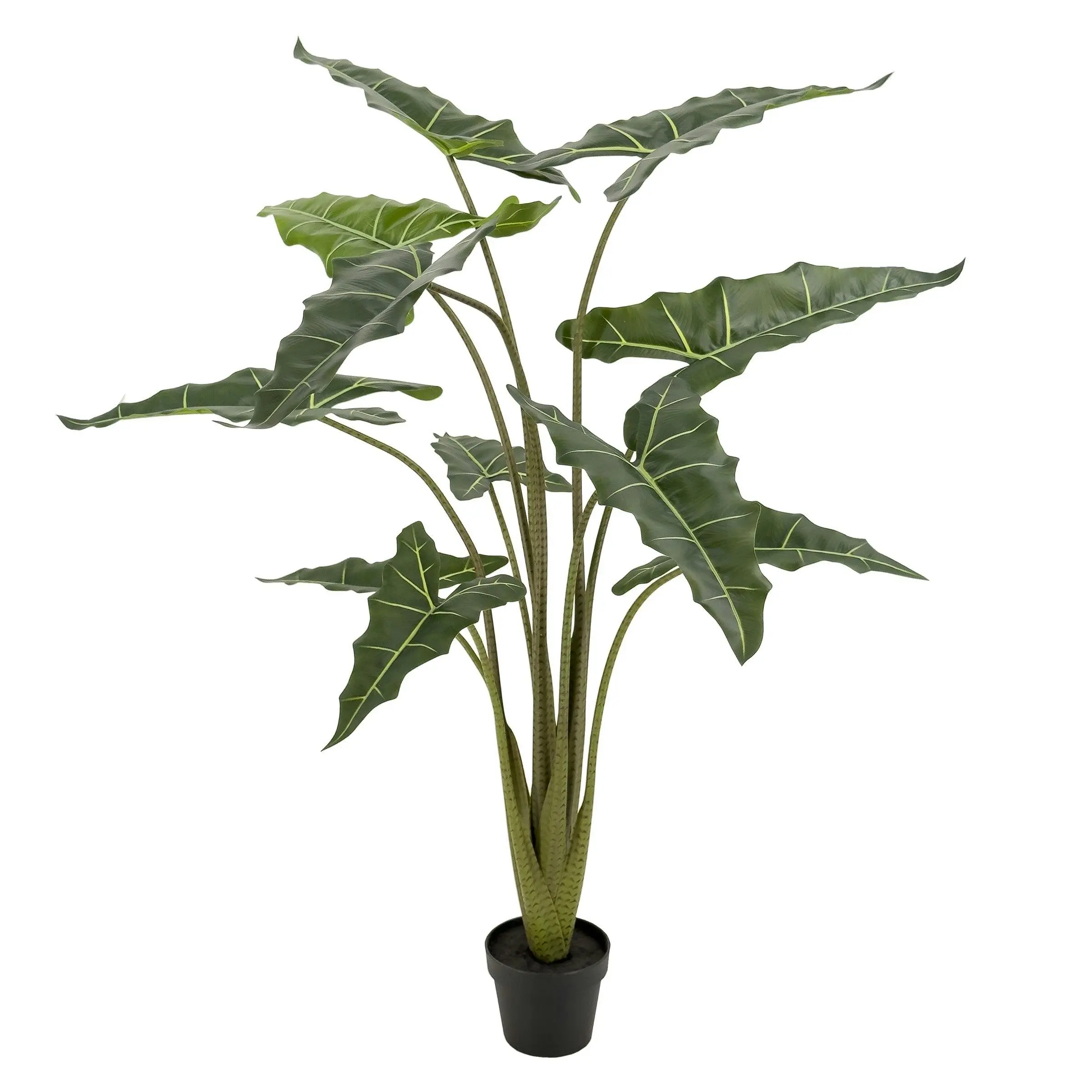 Large Artificial Plants - Alocasia (Elephant Ears) 160cm
