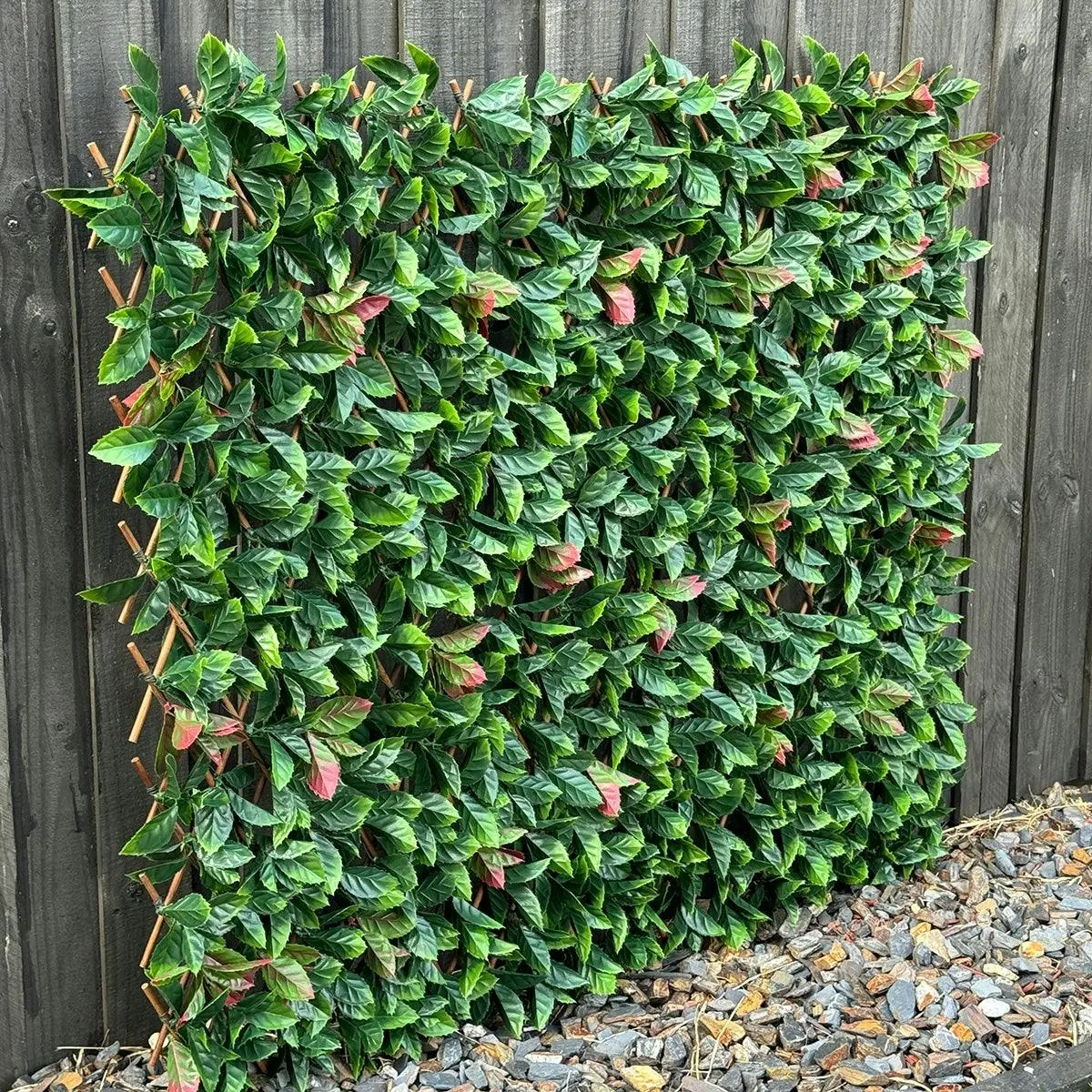 Expanding Trellis (UV Treated) - Red Photinia 180x90cm